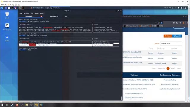 Targeting Vulnerable Software смотреть онлайн