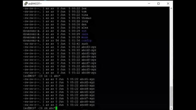 Linux 29 (Wildcards Practical In Linux) смотреть онлайн
