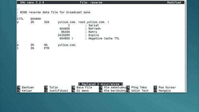 DNS Server linux debian 8.7 смотреть онлайн