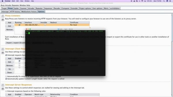 Burp Suite Proxy Android Emulator