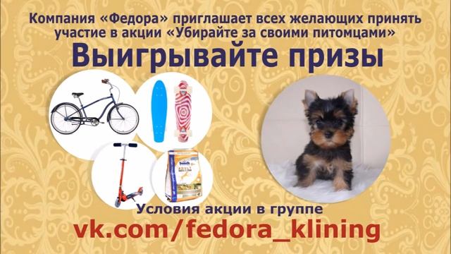 Федора "Убирайте за своими питомцами". Fedora Ubiray za pitomzami 1. смотреть онлайн