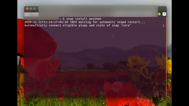 How to install postman on Ubuntu operating system смотреть онлайн