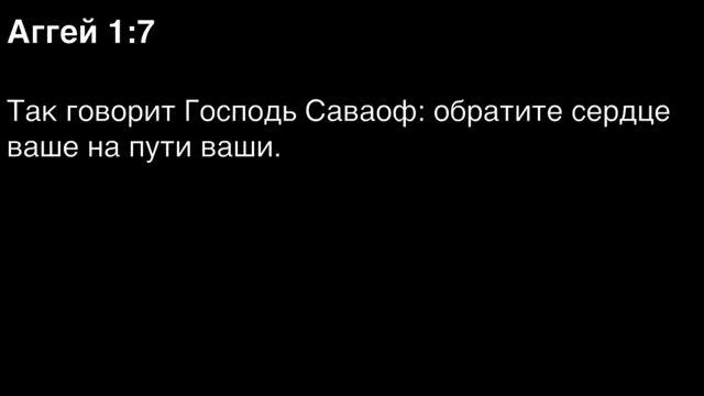 День 254. Библия за год. С митрополитом Иларионом.