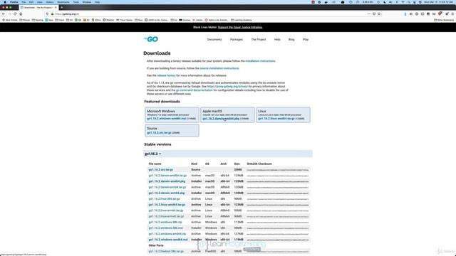 002 Installing Go смотреть онлайн