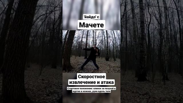 Йайдо с мачете. Скоростное извлечение и атака. #shorts