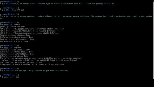 What is Apt on Linux(kali)? @qorsec смотреть онлайн