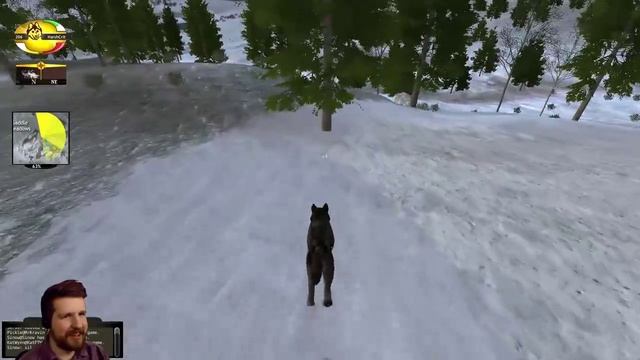 Wolf Quest [1] - RAISING OUR PUPS смотреть онлайн