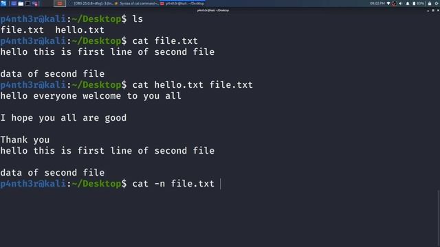 linux 05 cat Command смотреть онлайн
