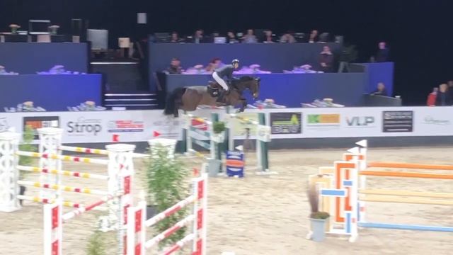 LR 1m45 CSI2* Cristel M °2010 (Diamant de Semilly x Cento) смотреть онлайн
