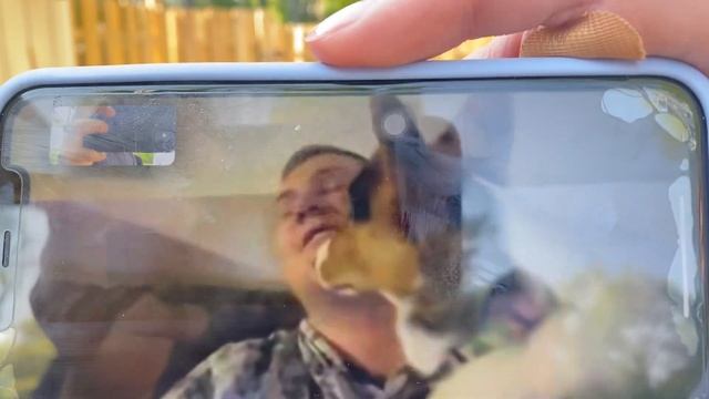 FaceTime video with Kevin in Florida смотреть онлайн