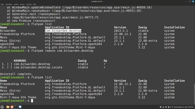Flatpak & Snap Grundkurs - Alles was Du wissen musst! (Tutorial für Anfänger) смотреть онлайн