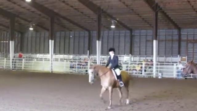 Hunt Seat 4 H County Fair 2012 012 смотреть онлайн