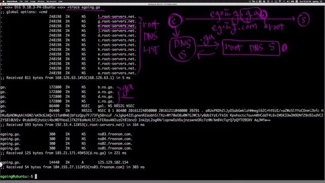 Linux - Domain 5 : DNS principle смотреть онлайн