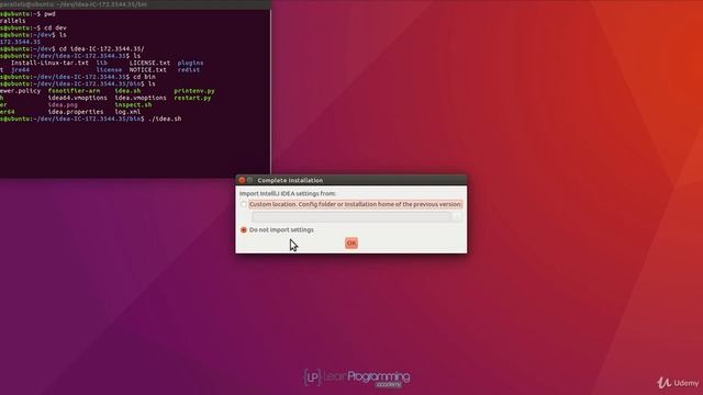 IntelliJ for Linux смотреть онлайн