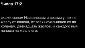 День 40. Библия за год. С митрополитом Иларионом.