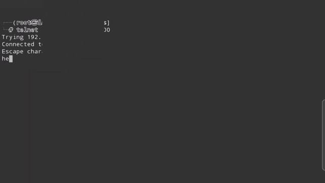 #dclxviclan #console #chat #anonymous #shell #socket #terminal #linux #telnet смотреть онлайн