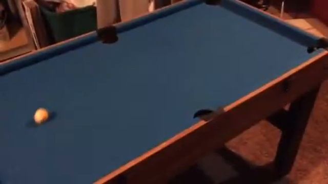 Double whammy time in sniper 360 смотреть онлайн