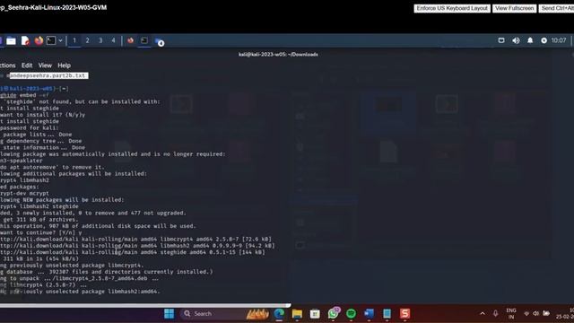 Steghide смотреть онлайн