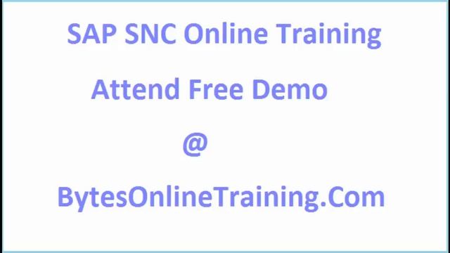 SAP SNC Online Training смотреть онлайн