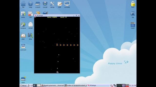 XGalaga on Puppy Linux 4.3.1 смотреть онлайн