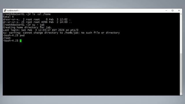 useradd: can't create user home directory смотреть онлайн