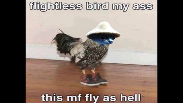 WE LIVE WE DRIP WE LIE 🗣️🗣️🗣️ смотреть онлайн