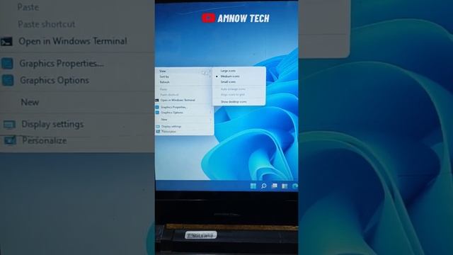 How to Show or Hide Desktop Icons in Windows 11 смотреть онлайн