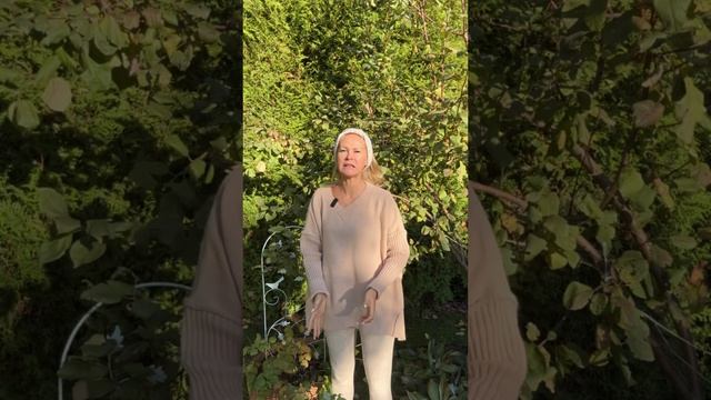 Как обеспечить туе комфортные условия для здорового, пышного и красивого роста? смотреть онлайн