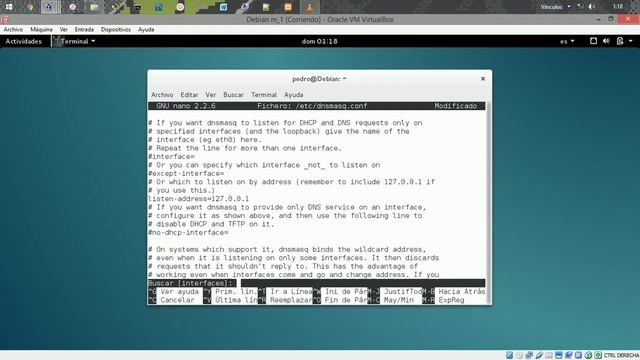 Servidor DNS en debian con masq смотреть онлайн