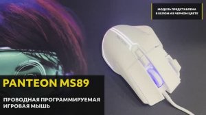 Игровая программируемая мышь с RGB-подсветкой PANTEON MS89