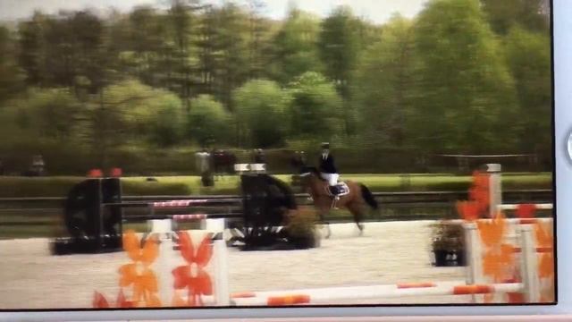 ASPEN ALLEN - femmina 2011 - Diarado x Cento смотреть онлайн