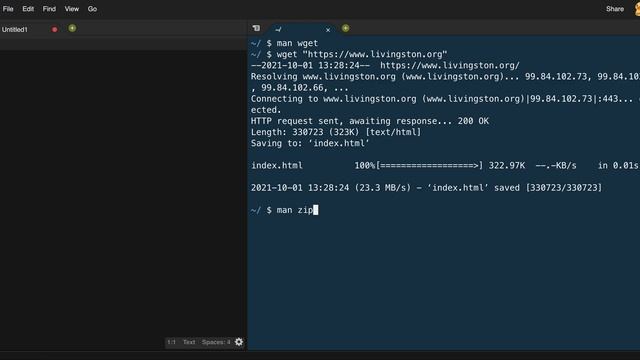 wget zip video смотреть онлайн