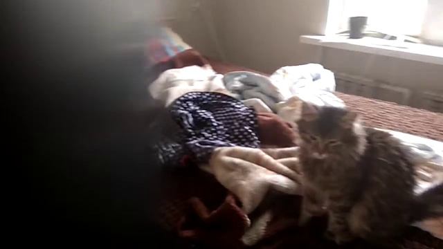 Да да снова очки и котик смотреть онлайн