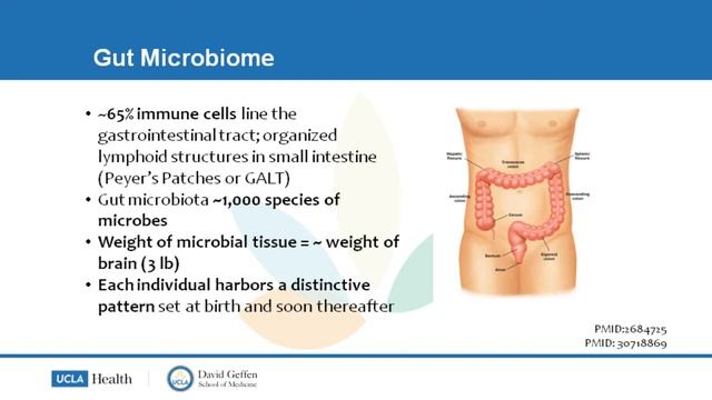 Nutrition and Immunity with Carolyn Katzin, MS, CNS смотреть онлайн