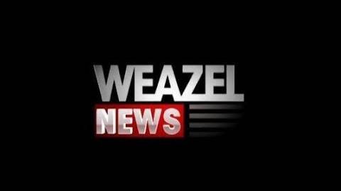 Weazel News #11