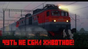 ПОЕЗД ЧУТЬ НЕ СБИЛ ЖИВОТНОЕ! РАБОТАЮ ДЕЖУРНЫМ ПО ПЕРЕЕЗДУ