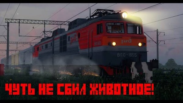 ПОЕЗД ЧУТЬ НЕ СБИЛ ЖИВОТНОЕ! РАБОТАЮ ДЕЖУРНЫМ ПО ПЕРЕЕЗДУ