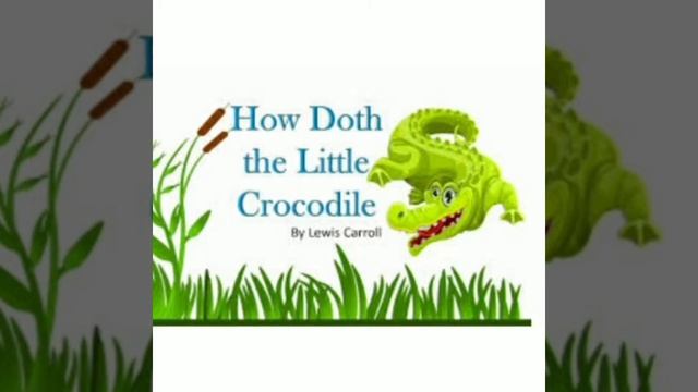 🐊 THE CROCODILE 🐊