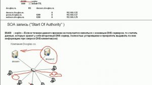 Kraulf DNS