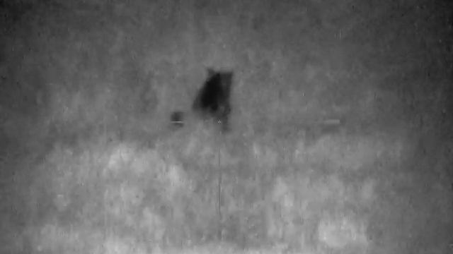 27 сентября 2021 г.