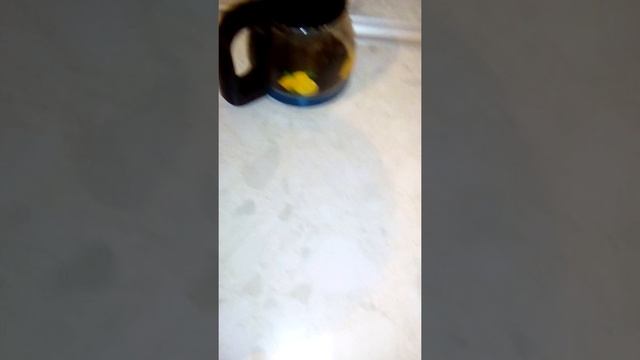 Ловля рыбы на удочку смотреть онлайн