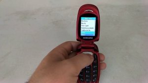 Samsung SGH-X481 Mobile phone menu browse, ringtones, games, wallpapers