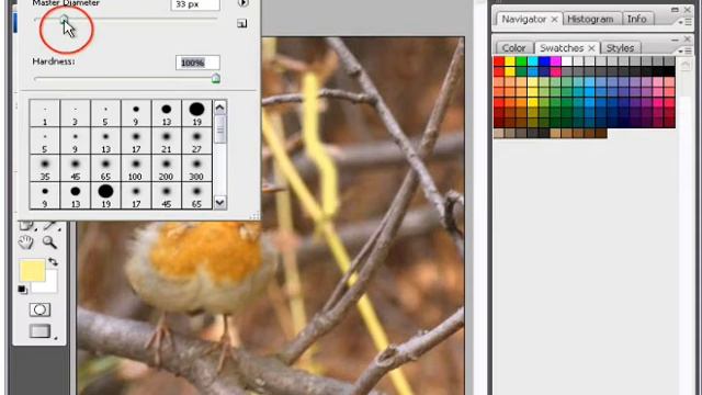 brush.wmv смотреть онлайн
