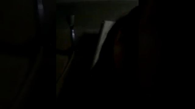 Утровата утрови (моите кокошки) моето коте* смотреть онлайн