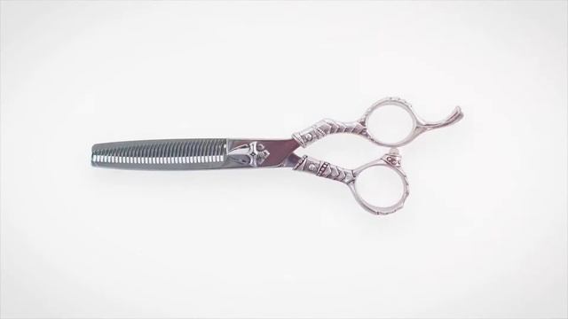 Teaser Line Scissors Hairdressers Awards