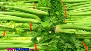 «Apples Are Yummy» - Learn Fruits & Vegetables, Kids Song for Babies & Toddlers