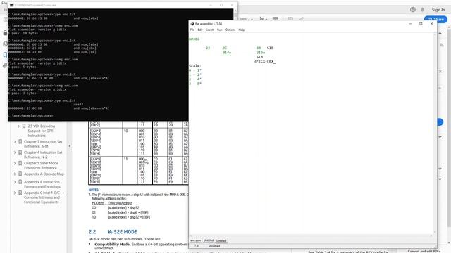 Decoding x86 instructions with help of octal digits (Unedited live session) смотреть онлайн