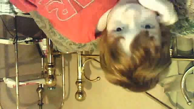 I am upside down смотреть онлайн