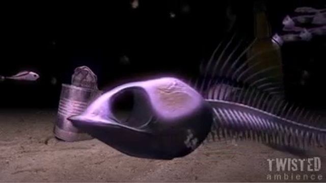 THE DEAD SEAD AQUARIUM - DVD VIDEO - 3D ANIMATION - Demo смотреть онлайн