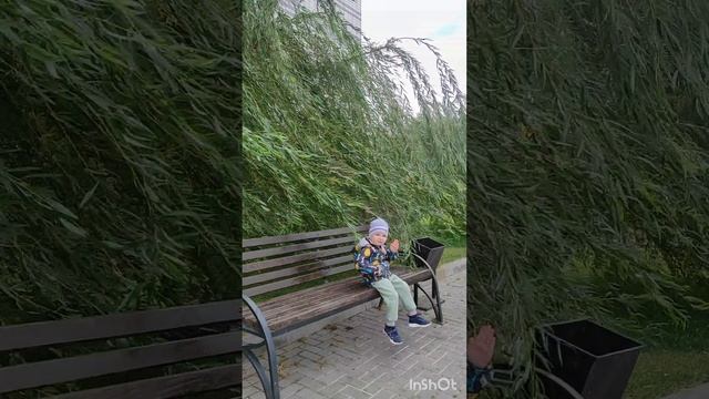 прогулка 24.10.24.mp4